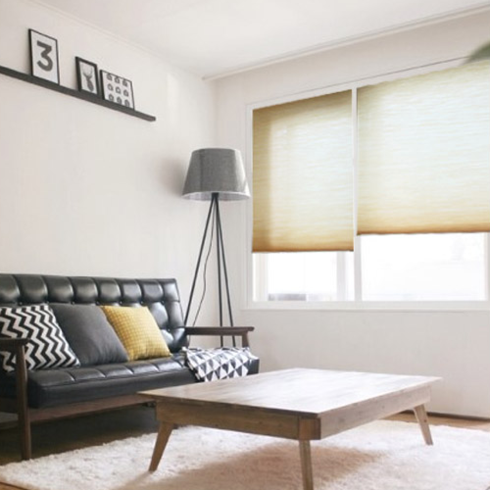 LIVINGTEX Light Filtering Cordless Honeycomb Shades (24Wx64H, Beige)